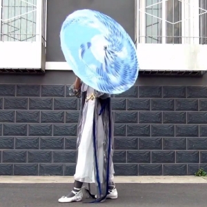 埋导演@剑网三 凌绝伞萝 舞姬与炮机[2V3.13G]