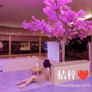 极品露出系网红@桔梓 尺度私拍视图合集[533P+64V/3.24G]